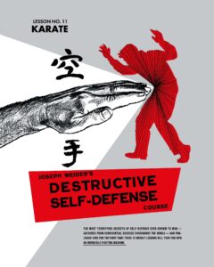 Lesson 11: How to master karate – The killer art!